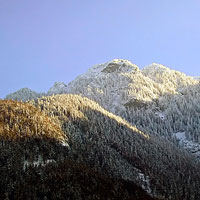 Other Images 