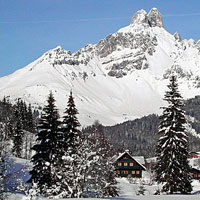 Other Images 