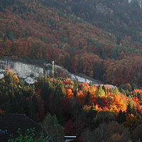 Other Images 