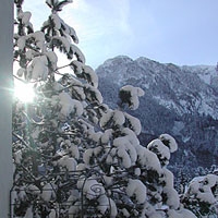 Other Images 