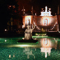 Other Images 