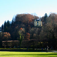 Other Images 