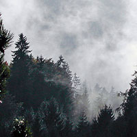 Other Images 
