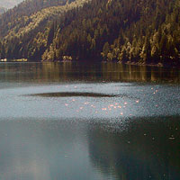 Sound of Music / Hallstatt Tour 
