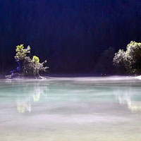 Sound of Music / Hallstatt Tour 
