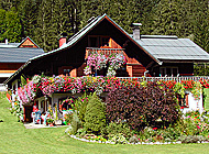 Altes Bauernhaus nahe Halstatt