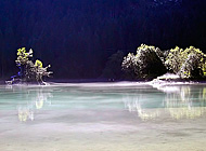 Lake near Gosau