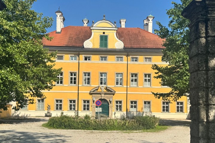 a tree in front of a brick building