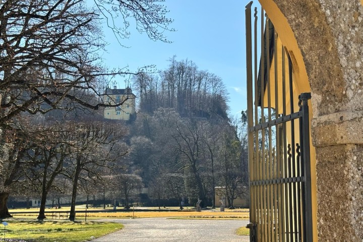 a tree in front of a building
