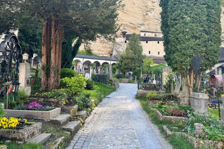 a group of people in a garden