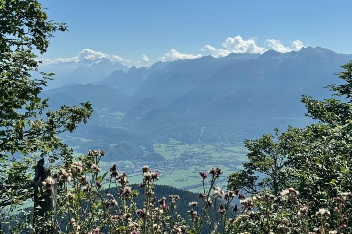 a group of people standing next to a tree