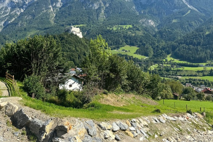 a close up of a hillside with trees and a mountain in the background