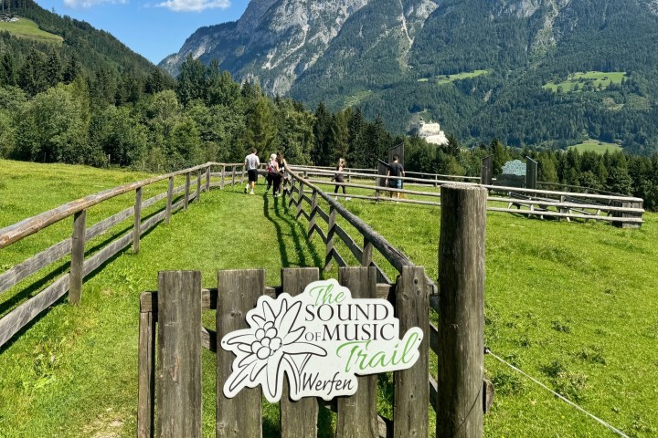 a wooden bench on the side of a lush green field