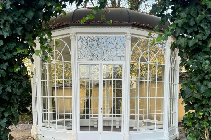 a garden in front of a window