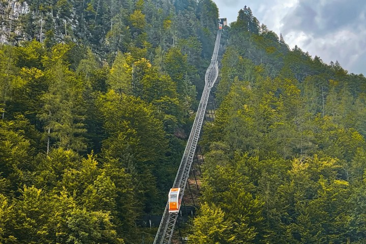 a train traveling down train tracks near a forest