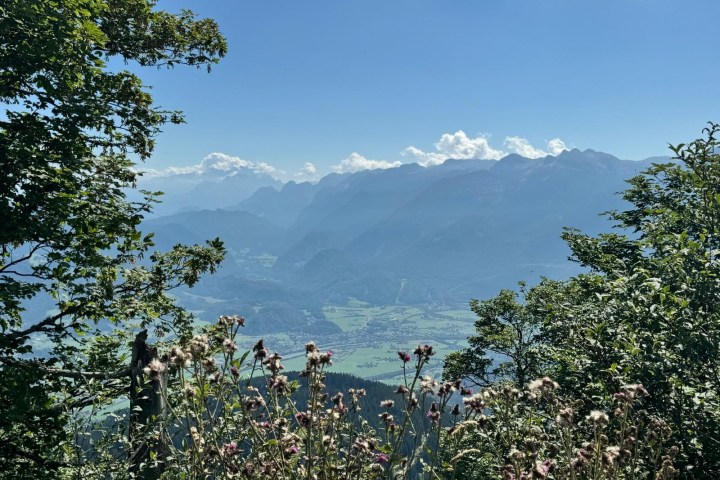 a group of people standing next to a tree