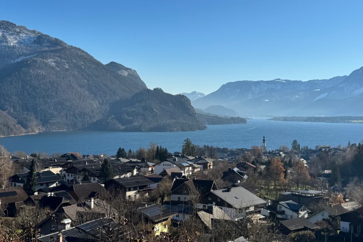 a herd of sheep standing on top of a mountain