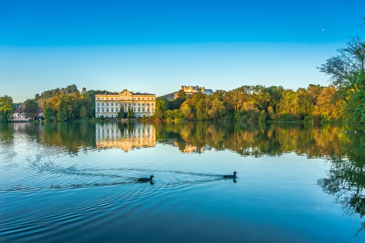 Two ducks swim on a lake reflecting a grand building and trees under a clear blue sky.