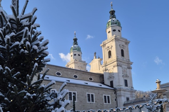 Snow-covered tree with a historic building in the background under a clear blue sky.