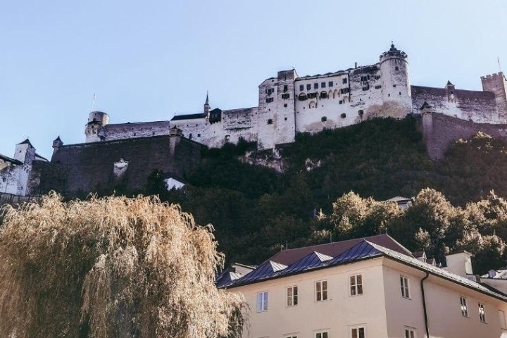 Hilltop castle in sunlight with tree and buildings in foreground.