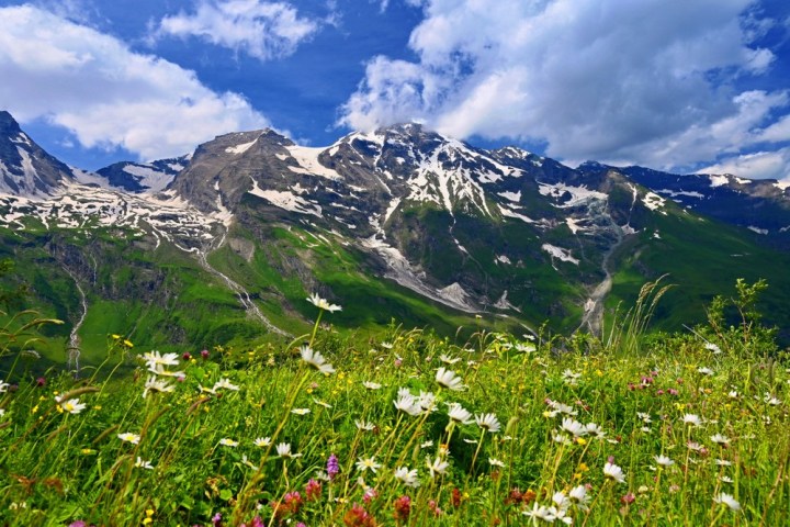 Snow-capped mountains with green slopes and wildflowers under a blue sky with clouds.
